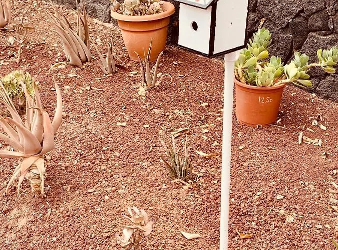Artsy Casa Timanfaya, Playa Blanca